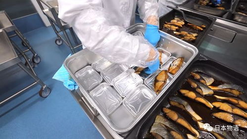 日本的孩子不吃盒饭,来看看日本的食品加工厂如何制作中小学生午餐